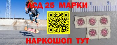 дмт Краснодар