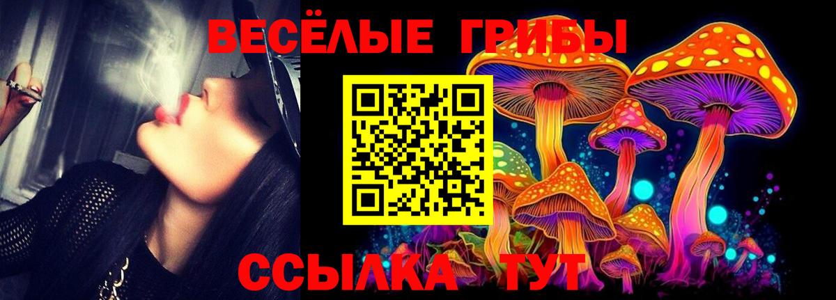 Псилоцибиновые грибы Psilocybine cubensis  Вход с VPN  закладка  Кисловодск 